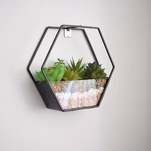 Aloe Studio Apartamento